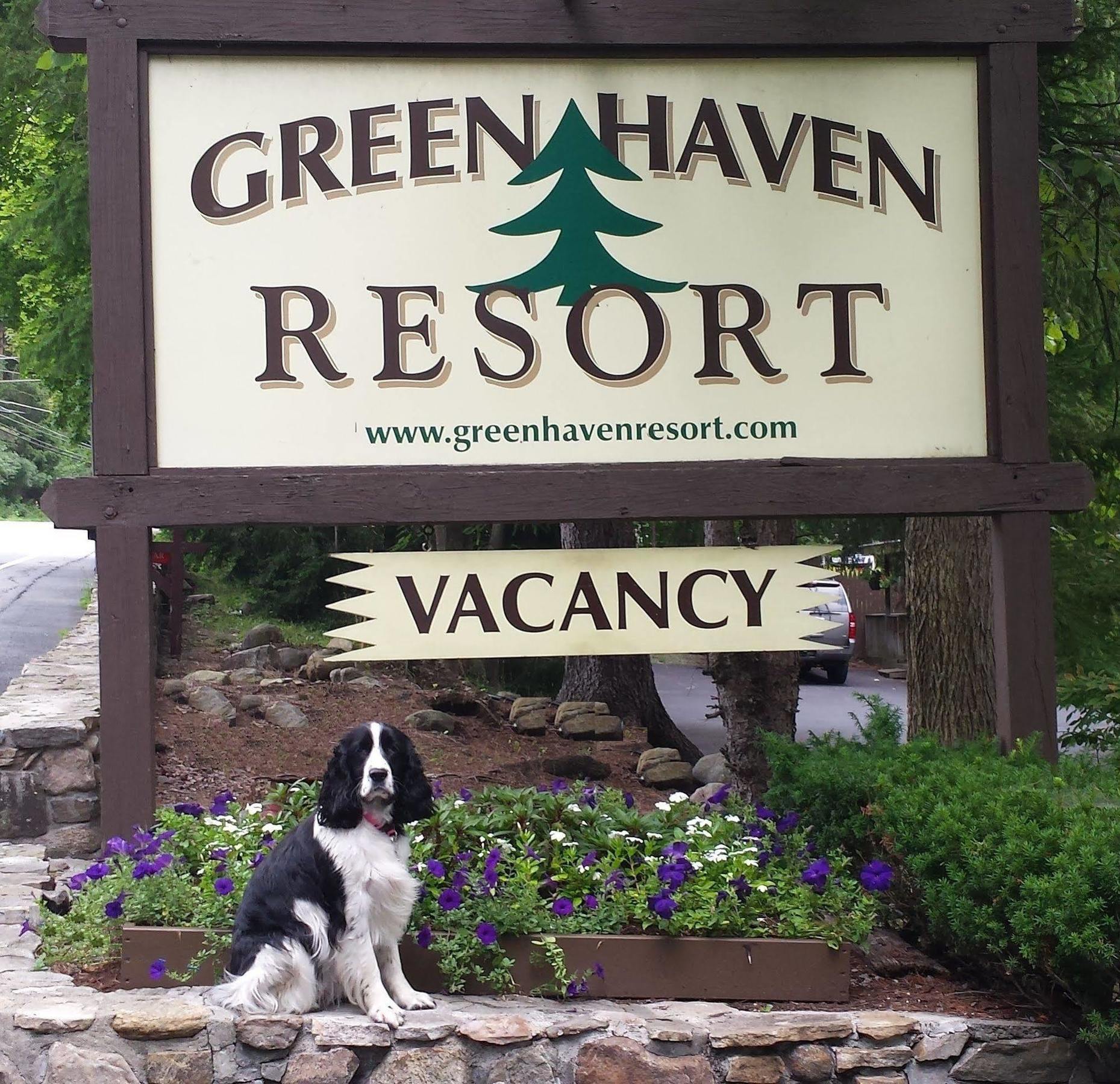 Green Haven Resort بحيرة جورج المظهر الخارجي الصورة